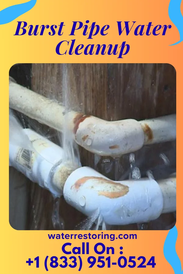 Burst Pipe Water Cleanup in Hometown, PA