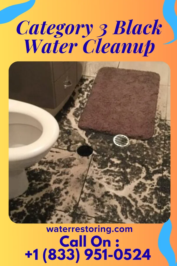 Category 3 Black Water Cleanup in Hometown, PA