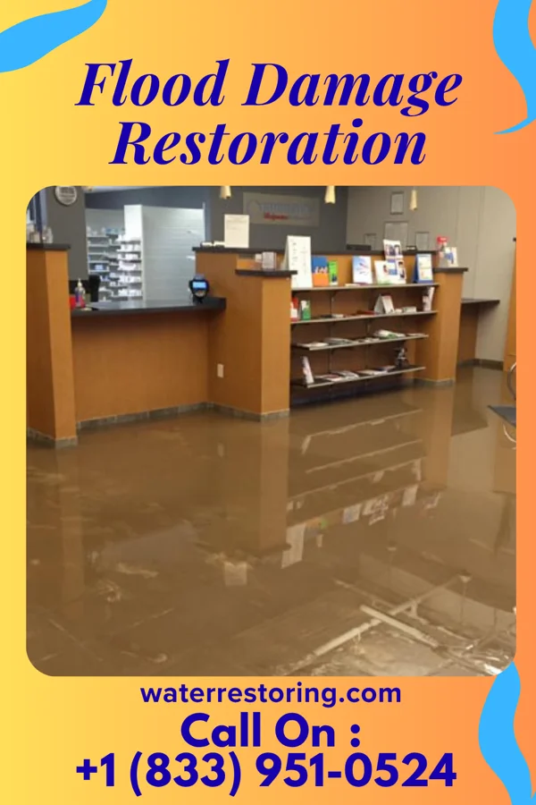 Flood Damage Restoration in Hometown, PA