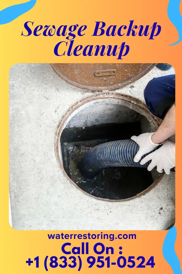 Sewage Backup Cleanup in Hometown, PA