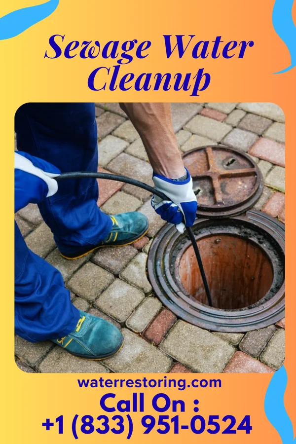 Sewage Water Cleanup in Hometown, PA
