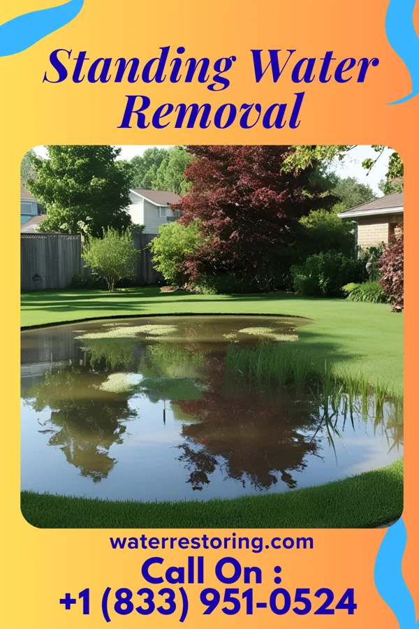Standing Water Removal in Hometown, PA